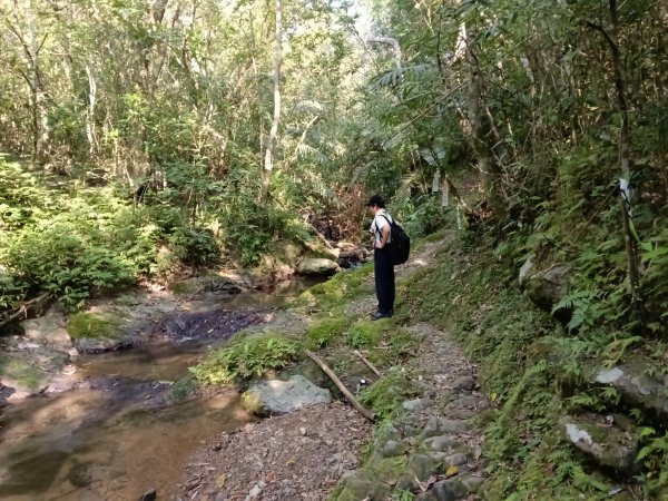 頭城鎮外澳車站+石空古道+太和山步道+蛇頭觀景台+象寮古道+烏山古道+外澳車站O型3018460