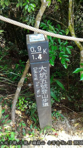 大坑2號/5號二登頭嵙山409098