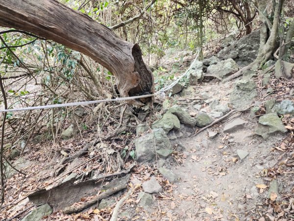 小百岳No.81⛰大山母山2776401