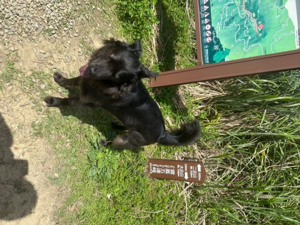 嘉雲二尖山、大尖山2734893