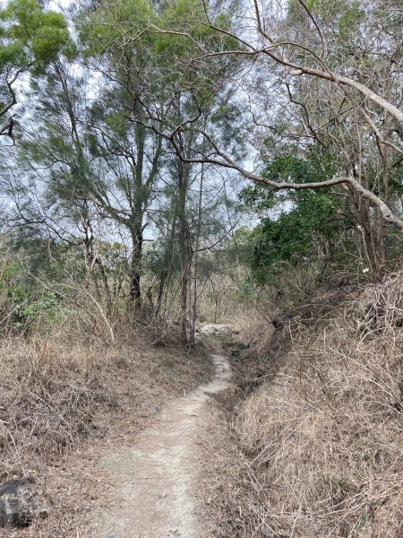 小百岳-大山母山2752549