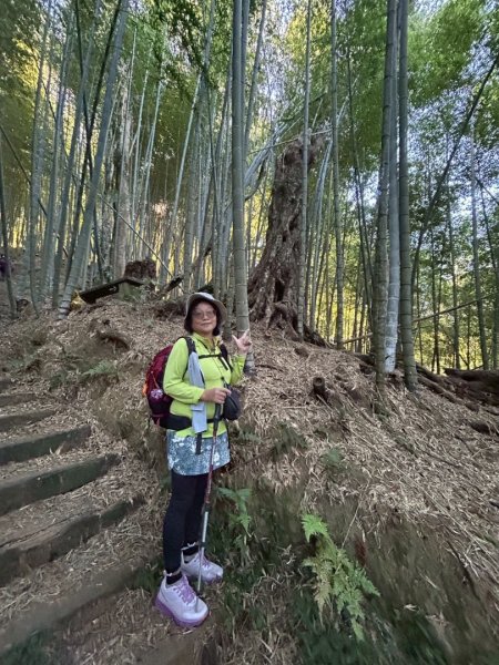 九穹神木 左訪嘉南雲峰 右到好望角看風景上石壁山(小百岳#55)2944818