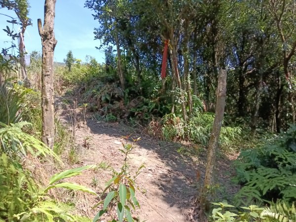 汐止區火燒坪山+車坪寮崙+五指山前峰O型2857916