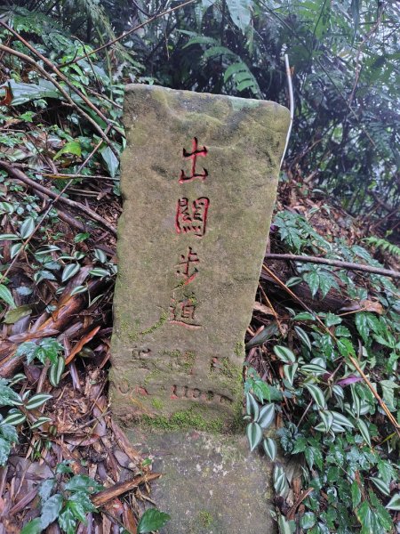 苗栗關刀山2975092