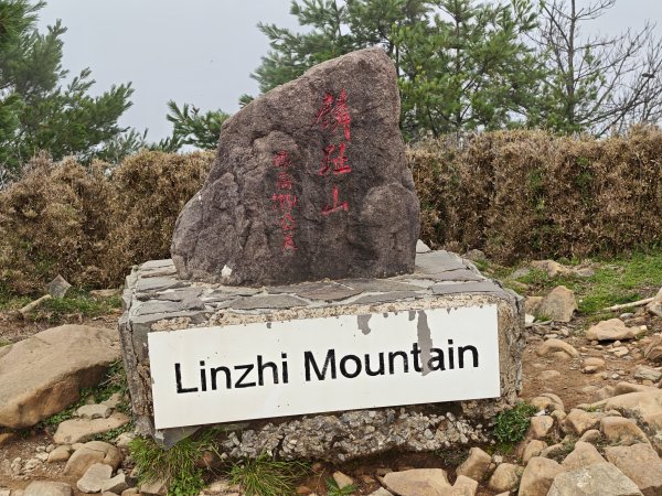 [山海圳_聖山之路_第二段3/4] 2026_0802 麟趾山3109260