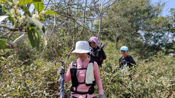 田良井山六連峰(屏東三地門) 探勘初體驗2025年3月9日2731537