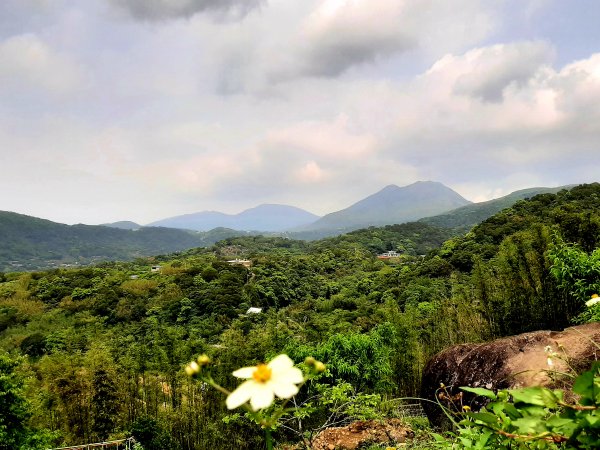 走遍陽明山：擎天崗系｜竹林小徑，遇見清幽潺潺溪流2096493