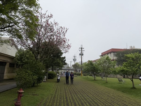 [樟之細路_第一大段RSA03] 2026_0329 石園3027048