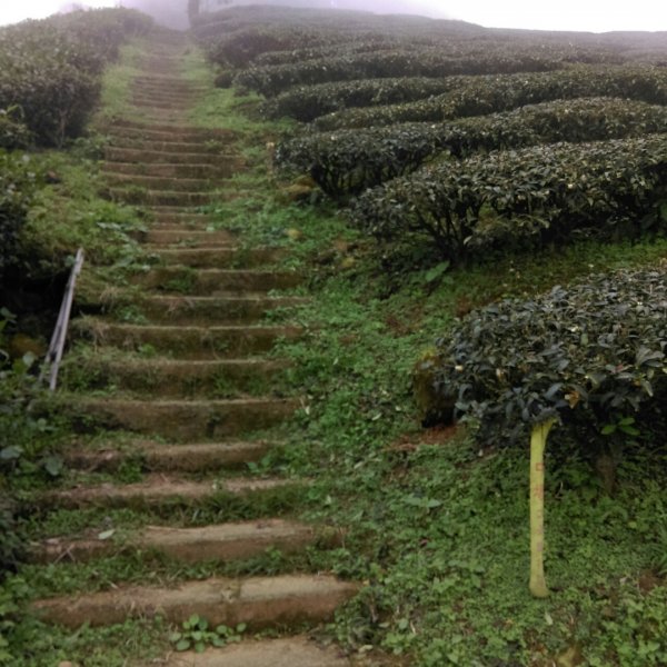 雲嘉五連峰O型環狀684867