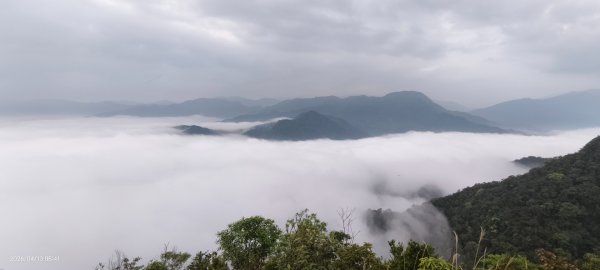 #新店四十份 #琉璃光 #雲瀑 #翡翠水庫壩頂 #日出 #雲海  #松月櫻 4/13&153034789