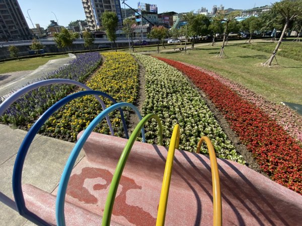 【新聞】花仙境藏身新北公園!繽紛花海浪漫來襲!