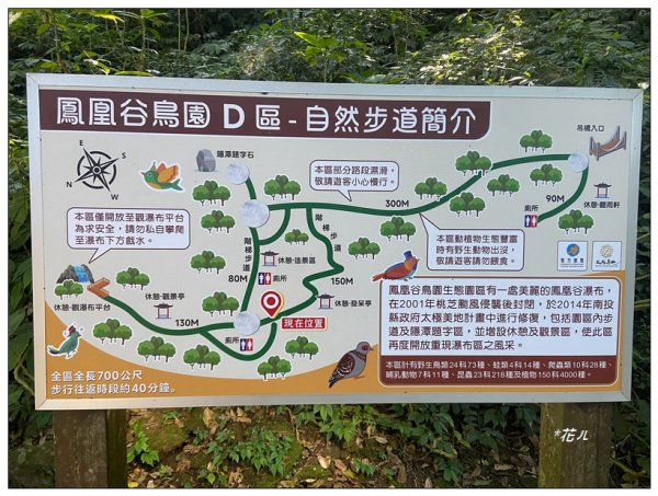 鳳凰谷鳥園步道2695904
