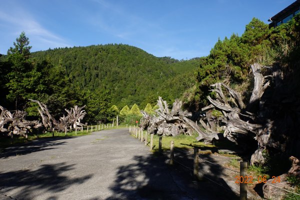 宜蘭 大同 太平山森林遊樂區1743629