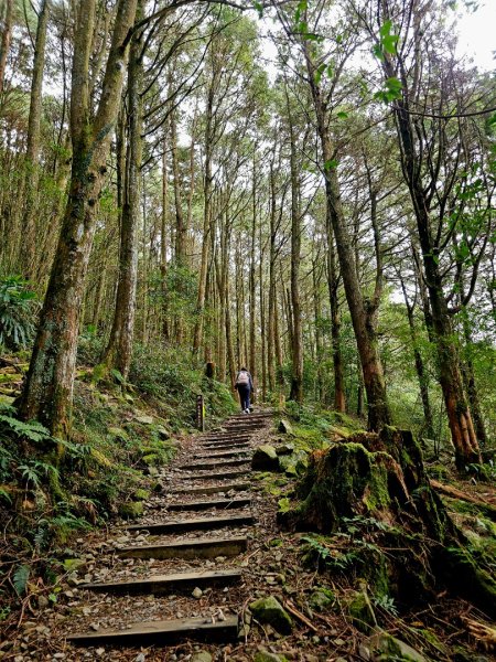 稍來山-小百岳#39-台中市和平區2654110