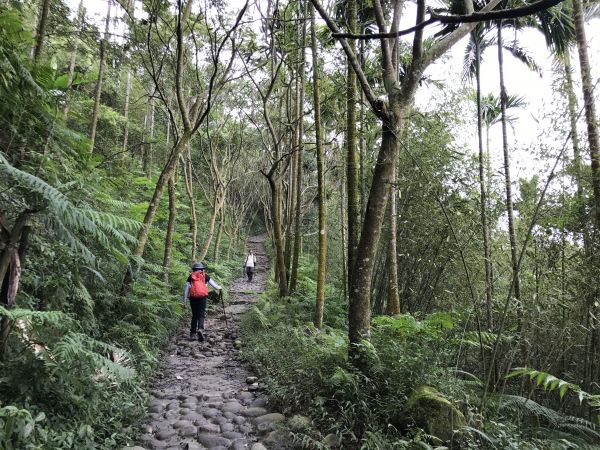 關子嶺大凍山步道188322