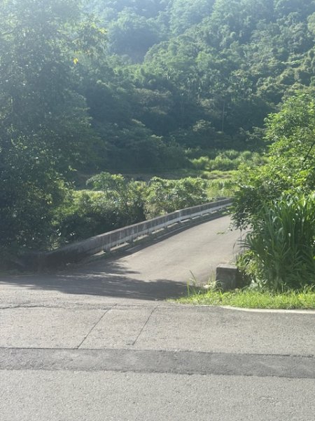 20250601 柑柑柑腳山2801028