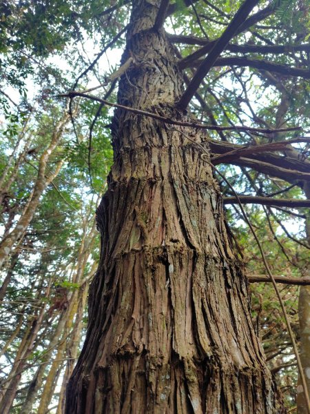 守關山南峰 守關山 守城大山2919110