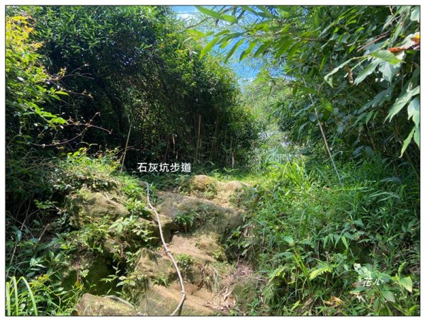 中坑山．石灰坑山．望湖山 連走2812972