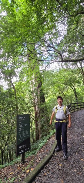 拉拉山巨木步道-塔曼山步道_202407022569685