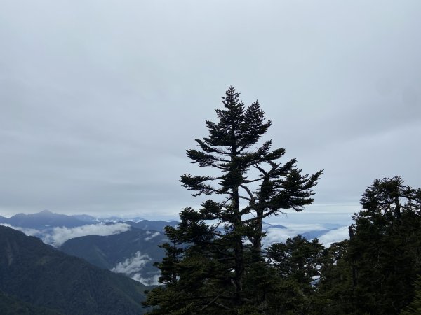 20230515-16玉山前西峰+遠望雨中的主東北2436657