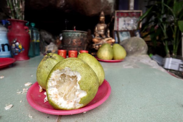 南勢角山｜烘爐地小百岳2892070