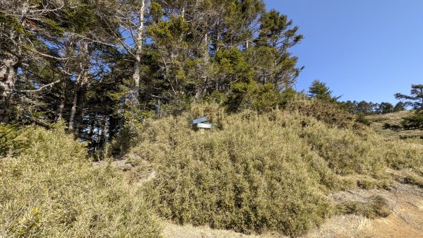 合歡西峰3021226