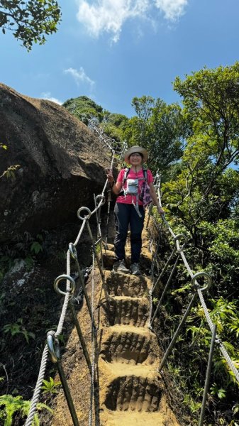 孝子山、普陀山、慈母峰賞鹿子野百合O走2592947