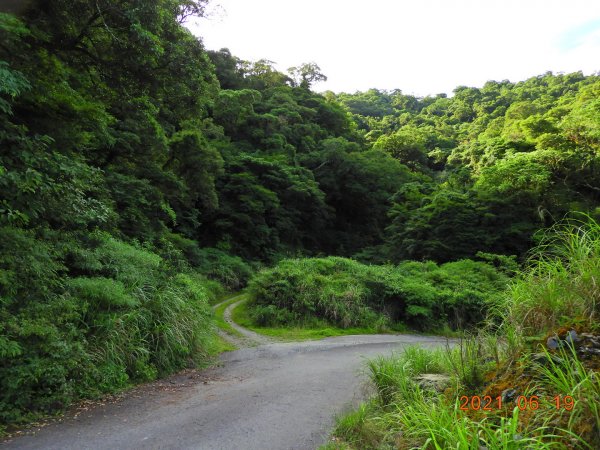 宜蘭 南澳 安平坑林道 - 大白山1417271