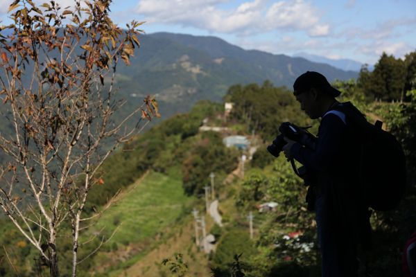 南投｜高峰山 有機段木菇農場110101