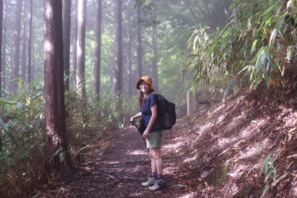 高野参詣道：不動坂に始まり祈りは奥の院へ2923227