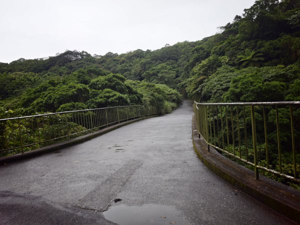 [淡蘭古道] 2026_0614 北路第三段_道路3075527