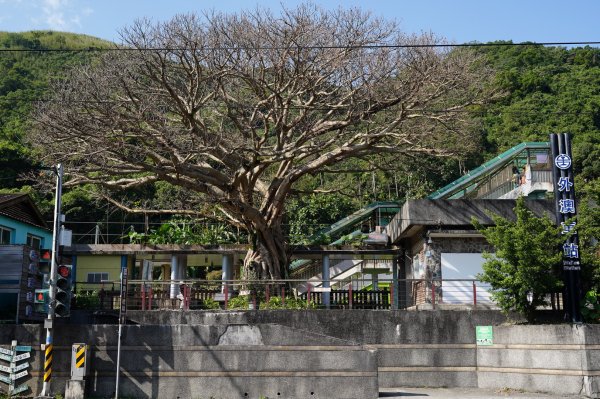 宜蘭 頭城 石空古道、太和山、石空山2398483