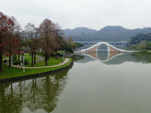 白鷺鷥山-康樂山-明舉山-東湖樂活公園537601