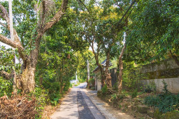 [嘉義]蘭潭水庫、紅毛埤山2757635