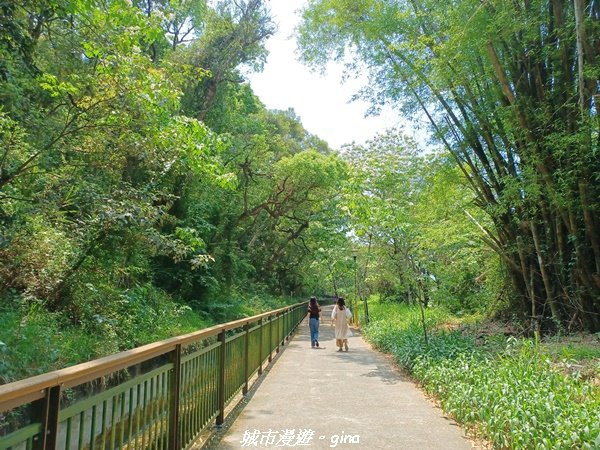 【台中外埔】高鐵觀景台、綠樹成蔭下賞桐花。 外埔水流東桐花步道2136908