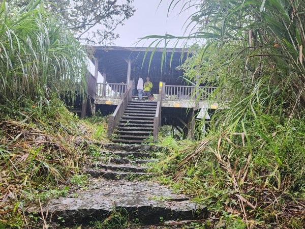 20250719頂湖上大凍山2907138