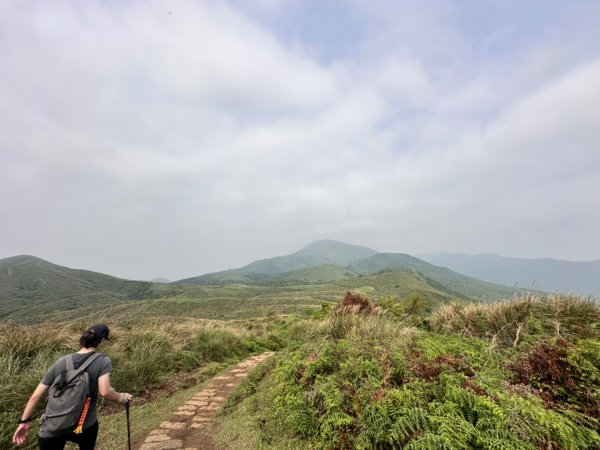 臺北大縱走第三段 小油坑》風櫃嘴2478285