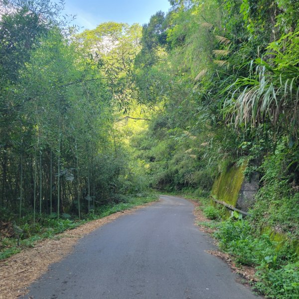 象鼻古道、千兩山步道2219258