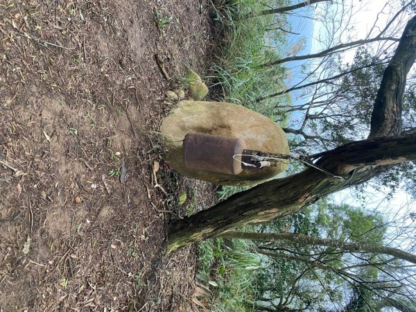 苗栗三義-三員縱走2616436