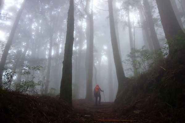 迷霧幽幽~特富野古道691952