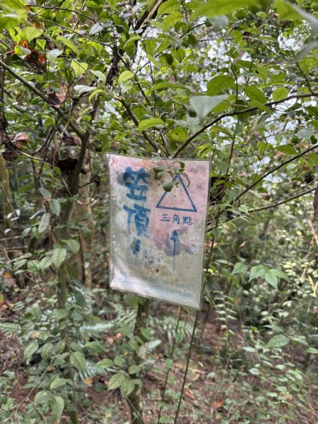 20251207笠頂山登山步道(第一登山口)2957666