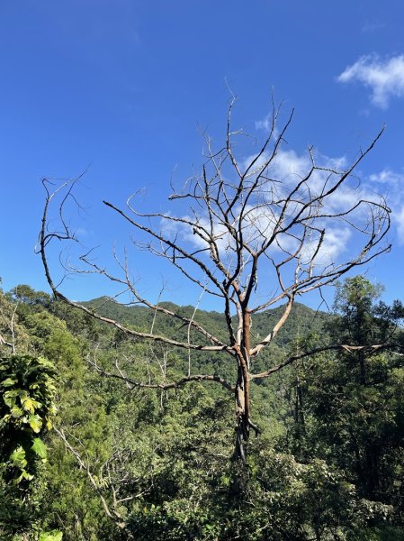 千島湖周邊步道2936035