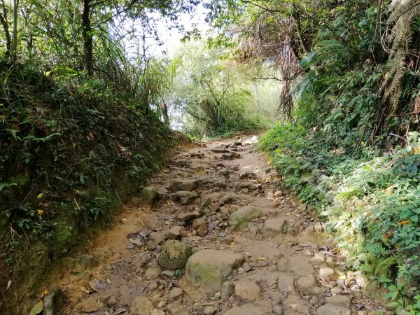 台南白河~台南第一高峰。 關仔嶺大凍山917825