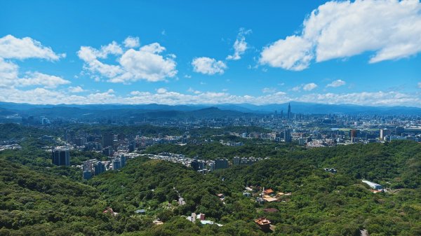 台北健行｜金面山縱走鯉魚山：大岩壁攀爬與山林驚喜3118507