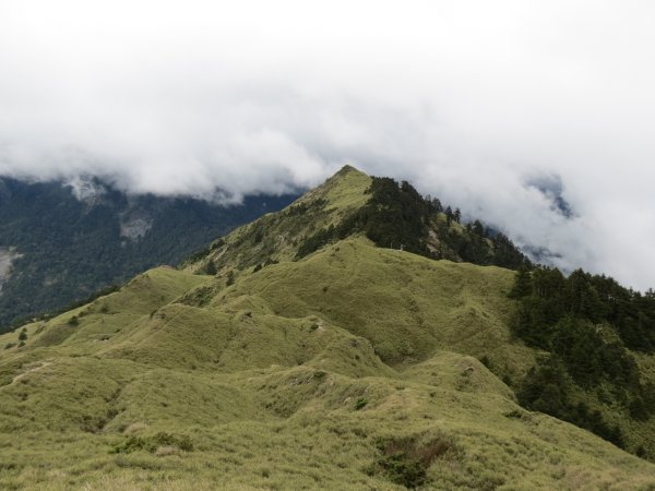 合歡山東峰-尖山-小奇萊-石門山2513136