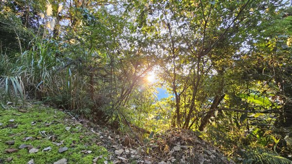 鵝公髻山 鵝公髻山東北峰 第一登山口上下入門路線2395266