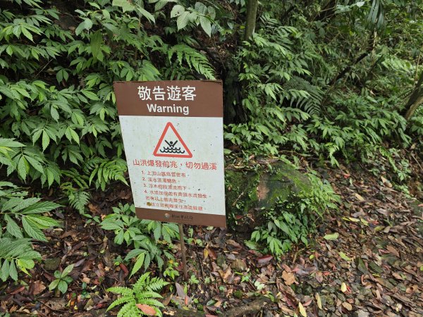 [淡蘭古道] 2026_0502 北路第二段_楊廷理古道3047712