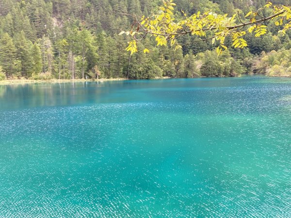 九寨溝風景2928128