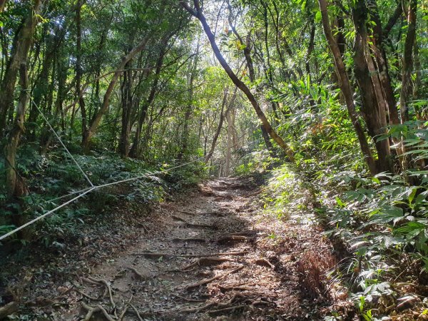 帽子山步道1237738