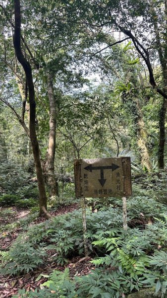 胡桶古道、梳妝樓山Ｏ走2461575